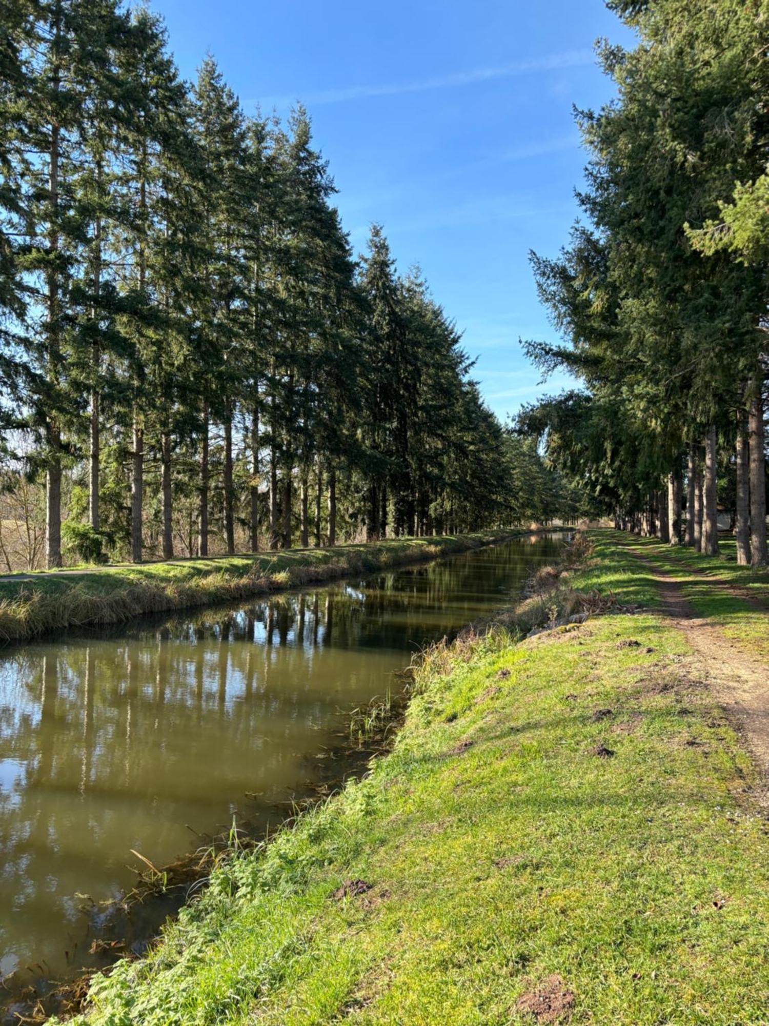 La Haute Tremiere Charenton-du-Cher Exteriér fotografie