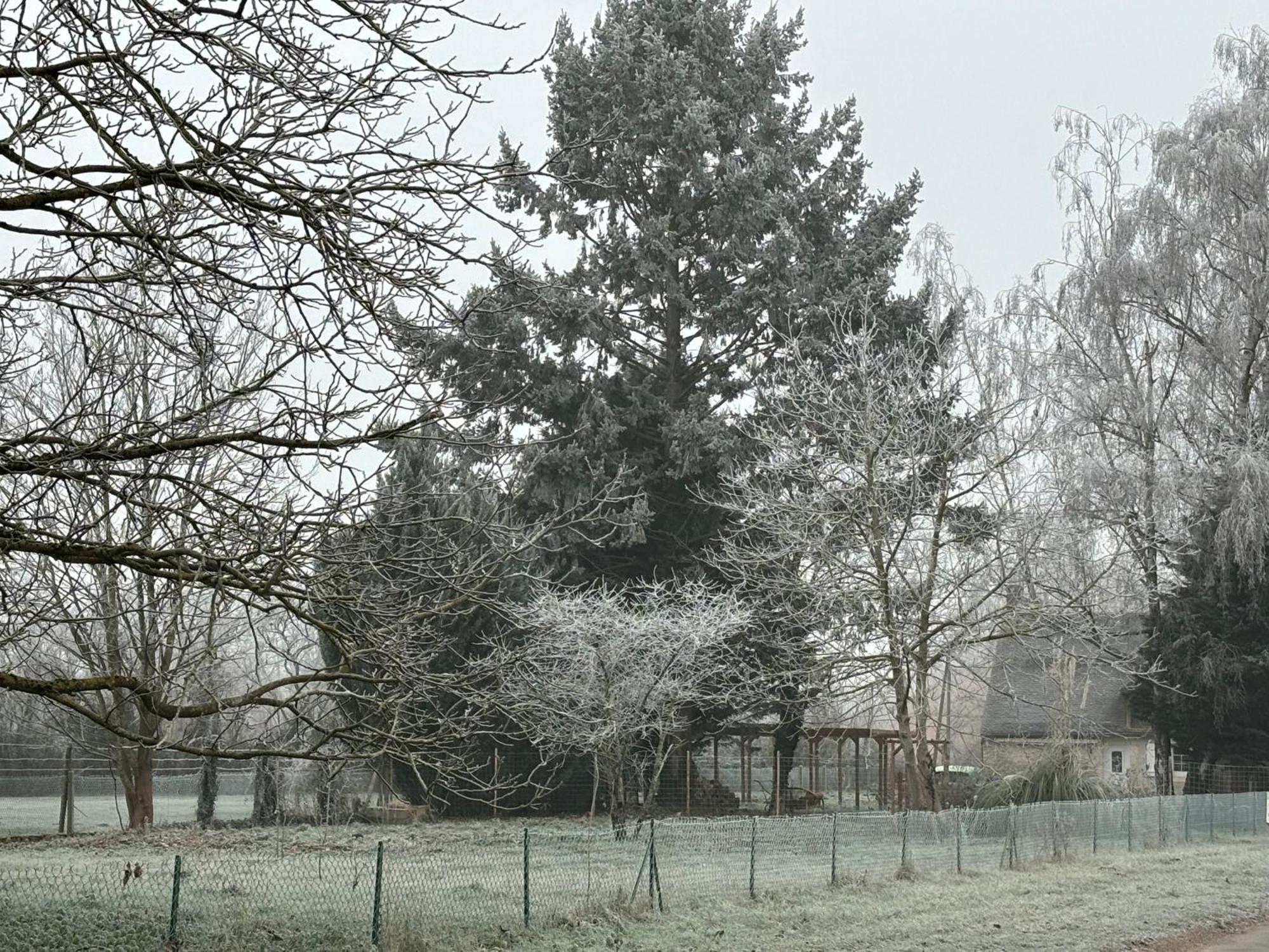 La Haute Tremiere Charenton-du-Cher Exteriér fotografie